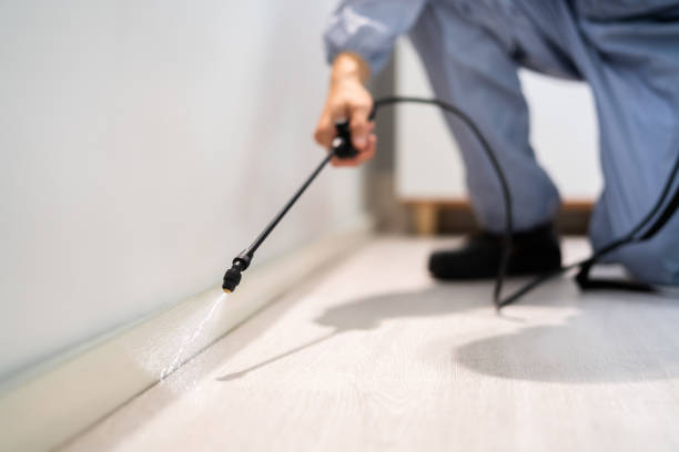 Licensed Rodent Control service in Marquette Heights, IL - Nex Pest Control