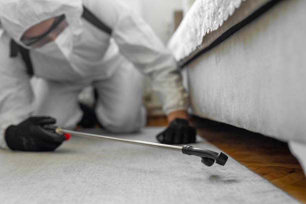 Professional Rodent Control technician working in Marquette Heights, IL