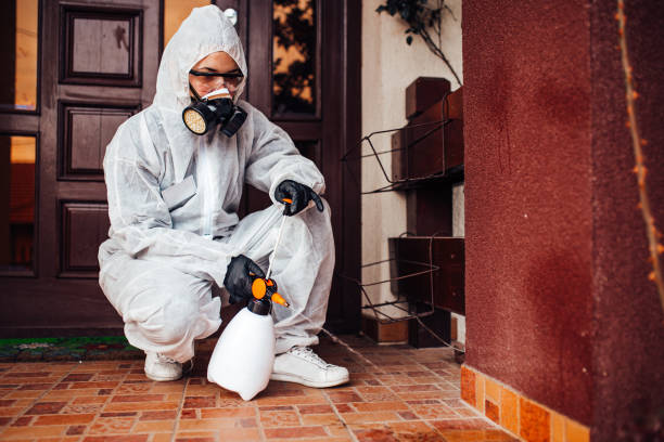 Reliable Rodent Control contractor in Marquette Heights, IL by Nex Pest Control